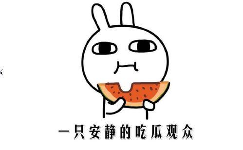 网络用词吃瓜什么意思,围观娱乐圈的趣味与真相